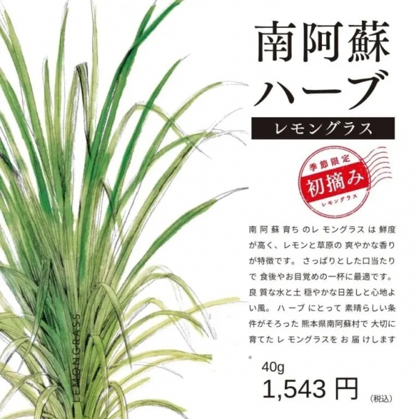 マイング初出店!「南阿蘇TEA HOUSE」期間限定出店